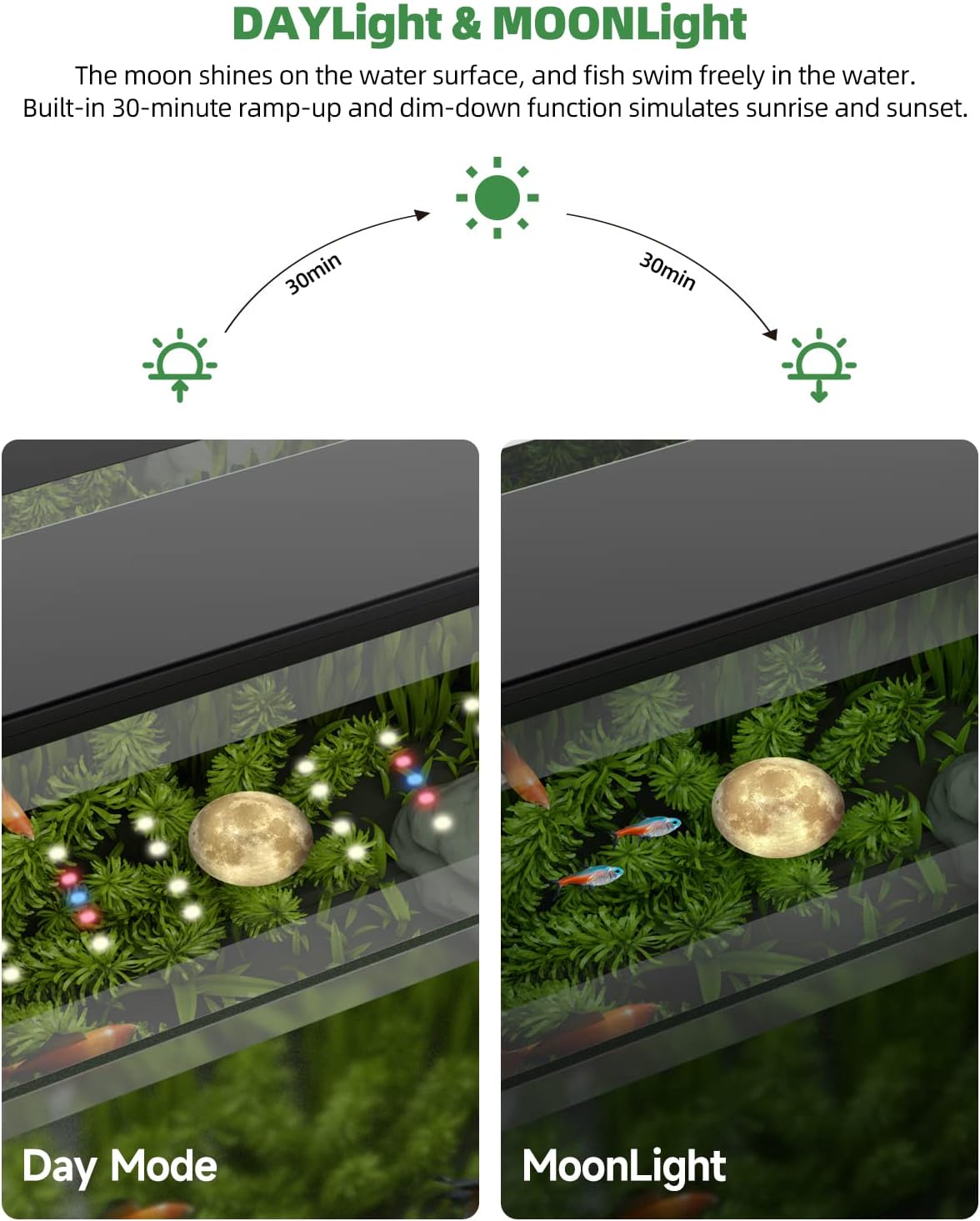 PRONORO™ AQUARIUM LIGHT